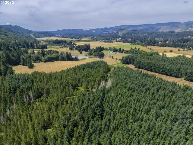 a view of a lush green forest with a house in a background