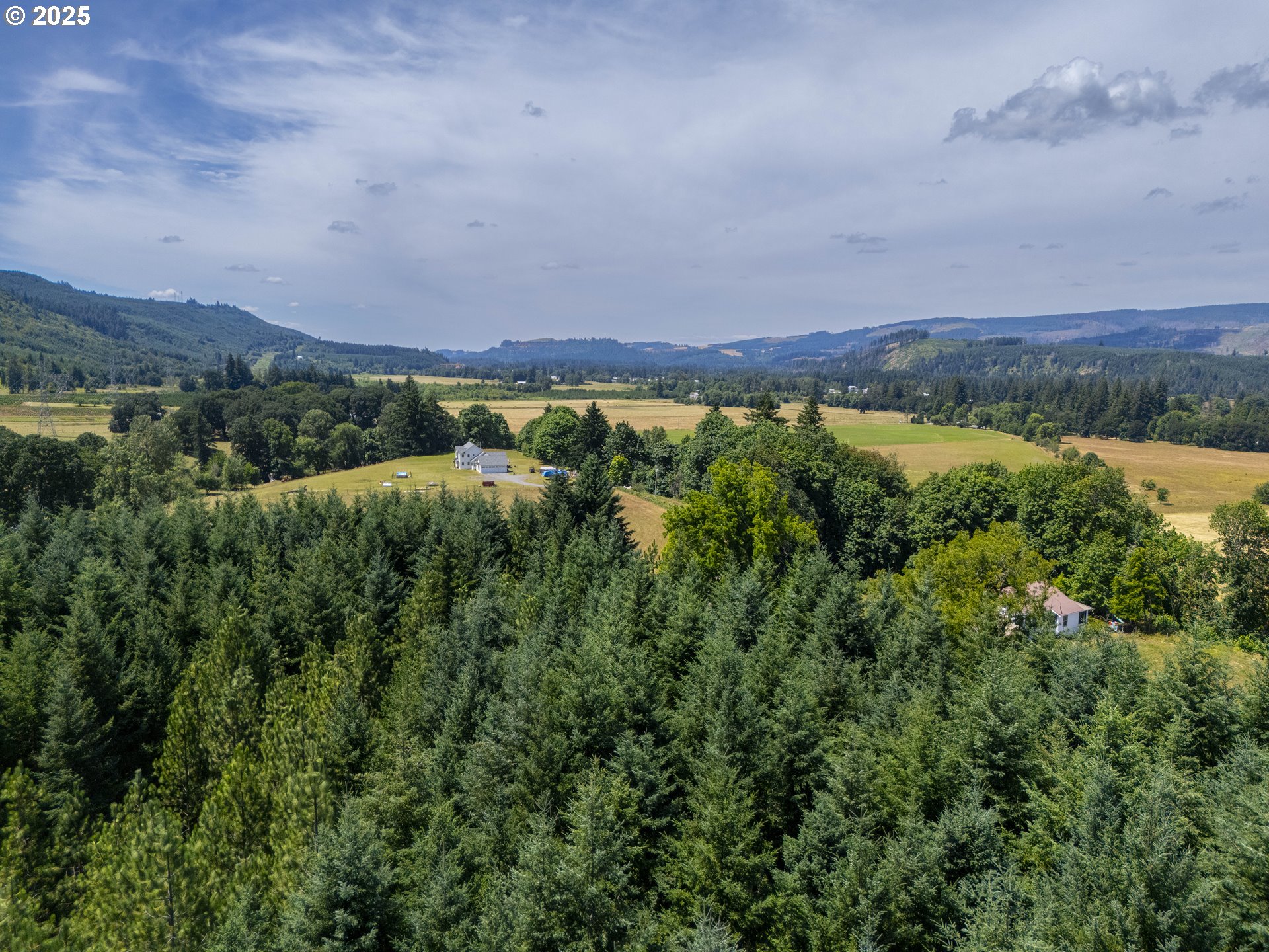 South Cedar Mill Road Lyons, OR 97358 - Photo 23 of 30 a view of a lush green forest with a house in a background