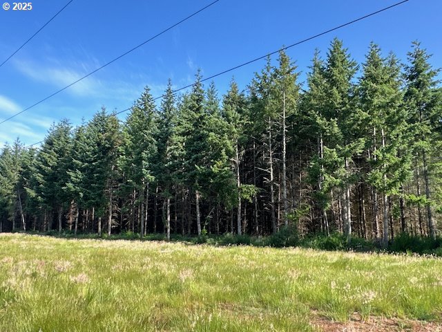 South Cedar Mill Road Lyons, OR 97358 - Photo 26 of 30 a view of a yard with large trees