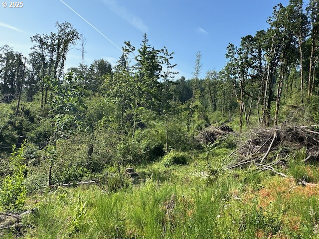 South Cedar Mill Road Lyons, OR 97358 - Photo 27 of 30 a view of a lush green forest