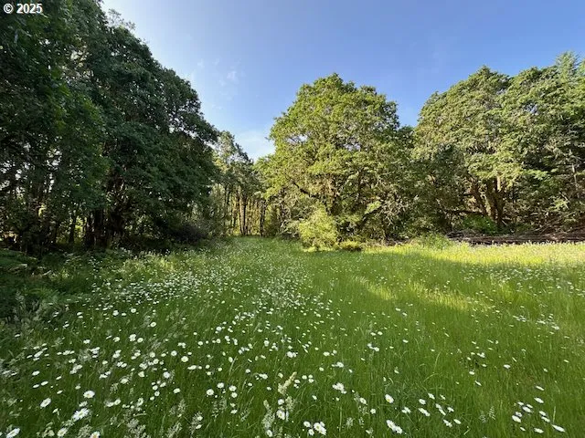a close up of a plant in a garden