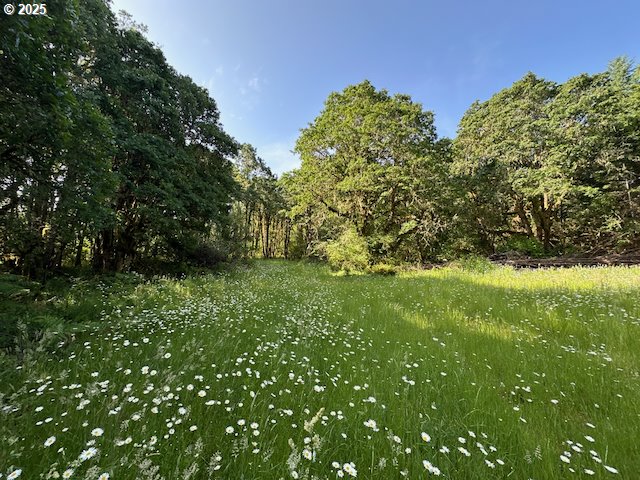 South Cedar Mill Road Lyons, OR 97358 - Photo 28 of 30 a view of a lush green space