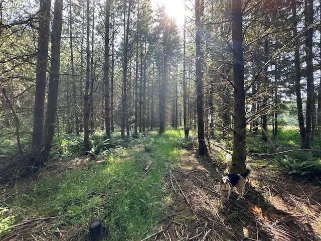 $795,000 | South Cedar Mill Road, Lyons, OR 97358