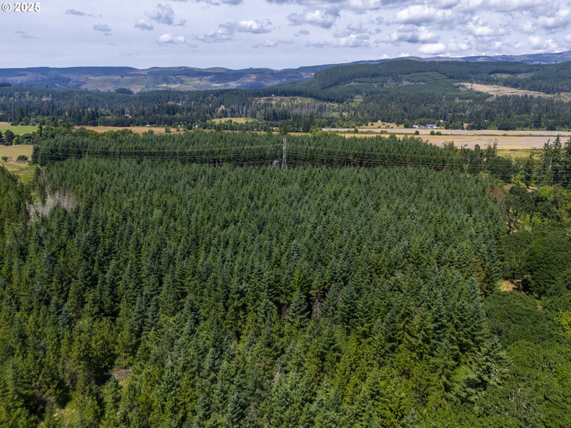 South Cedar Mill Road Lyons, OR 97358 - Photo 5 of 30 an aerial view of residential houses with outdoor space and green space