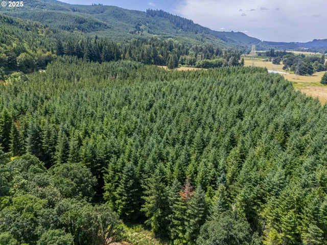 a view of a lush green hillside and a houses