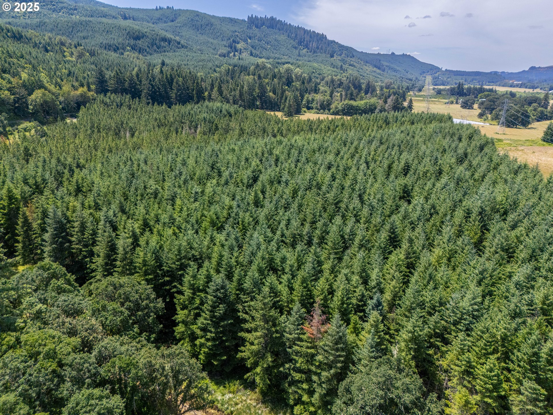 South Cedar Mill Road Lyons, OR 97358 - Photo 7 of 30 a view of a lush green hillside and a houses
