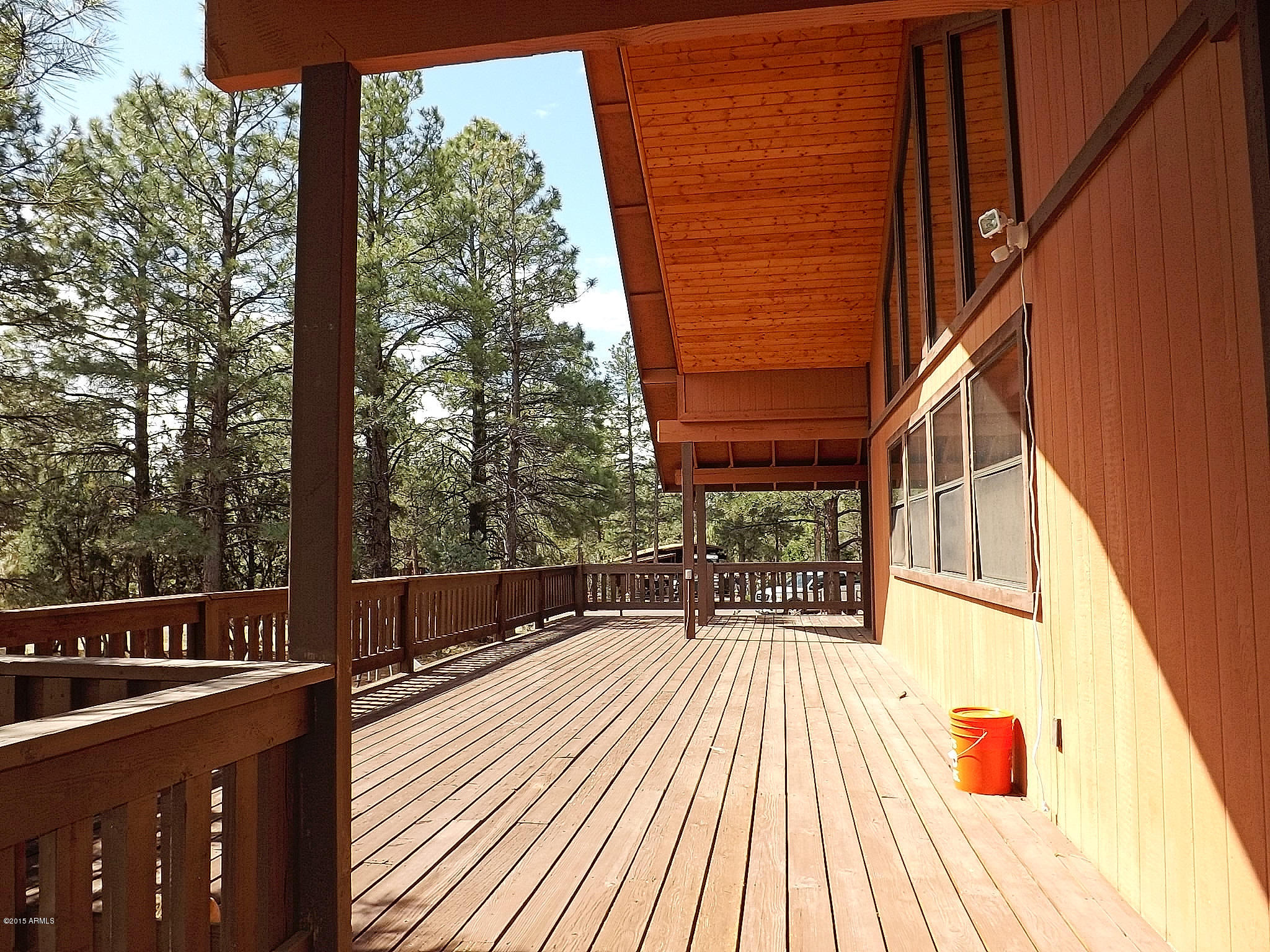 3144 Chevelon Road Overgaard, AZ 85933 - Photo 11 of 52 DSCF4452