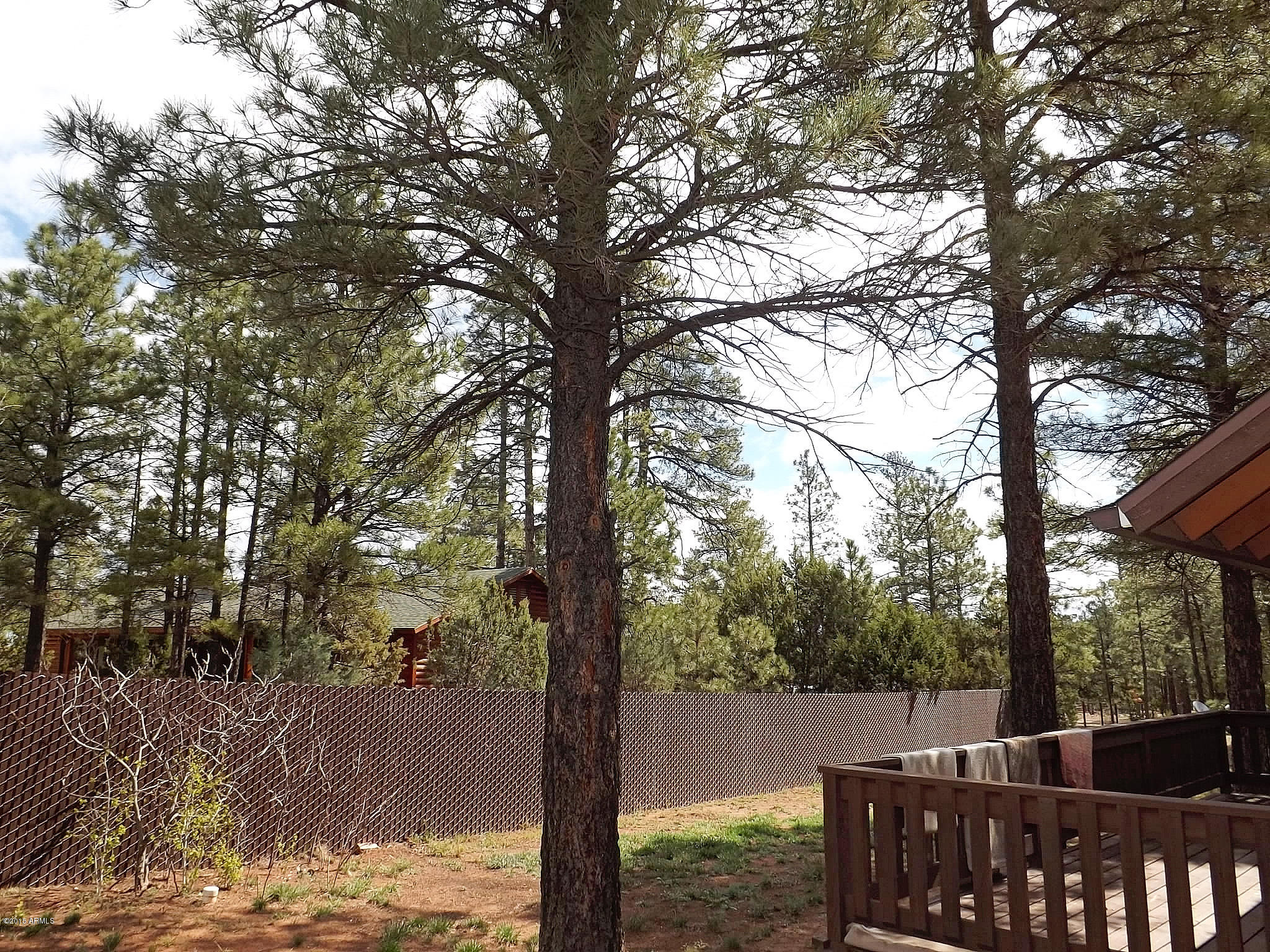 3144 Chevelon Road Overgaard, AZ 85933 - Photo 18 of 52 DSCF4462