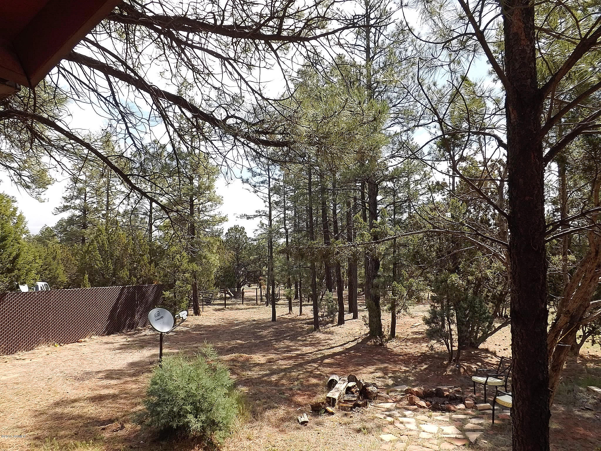 3144 Chevelon Road Overgaard, AZ 85933 - Photo 23 of 52 DSCF4463