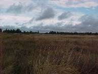0 South Cross Road Cheney, WA 99004 - Photo 1 of 2