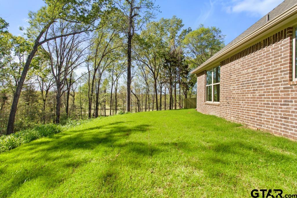 496 Preston Rdg Drive Tyler, TX 75703 - Photo 27 of 34 a view of back yard of the house