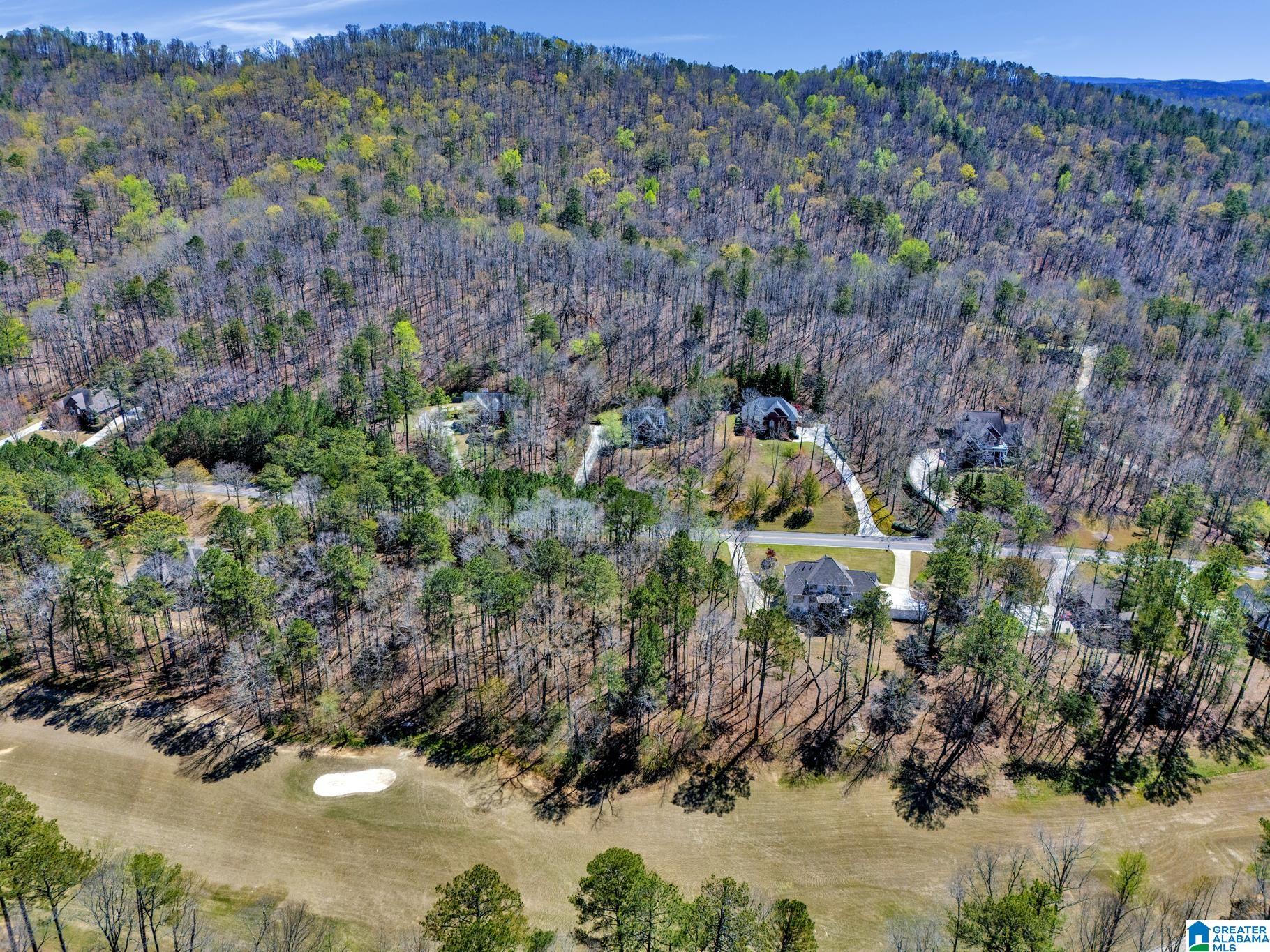 433 St Andrews Parkway, Unit 1 Oneonta, AL 35121 - Photo 4 of 22