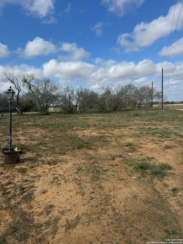 a view of a backyard with plants and trees