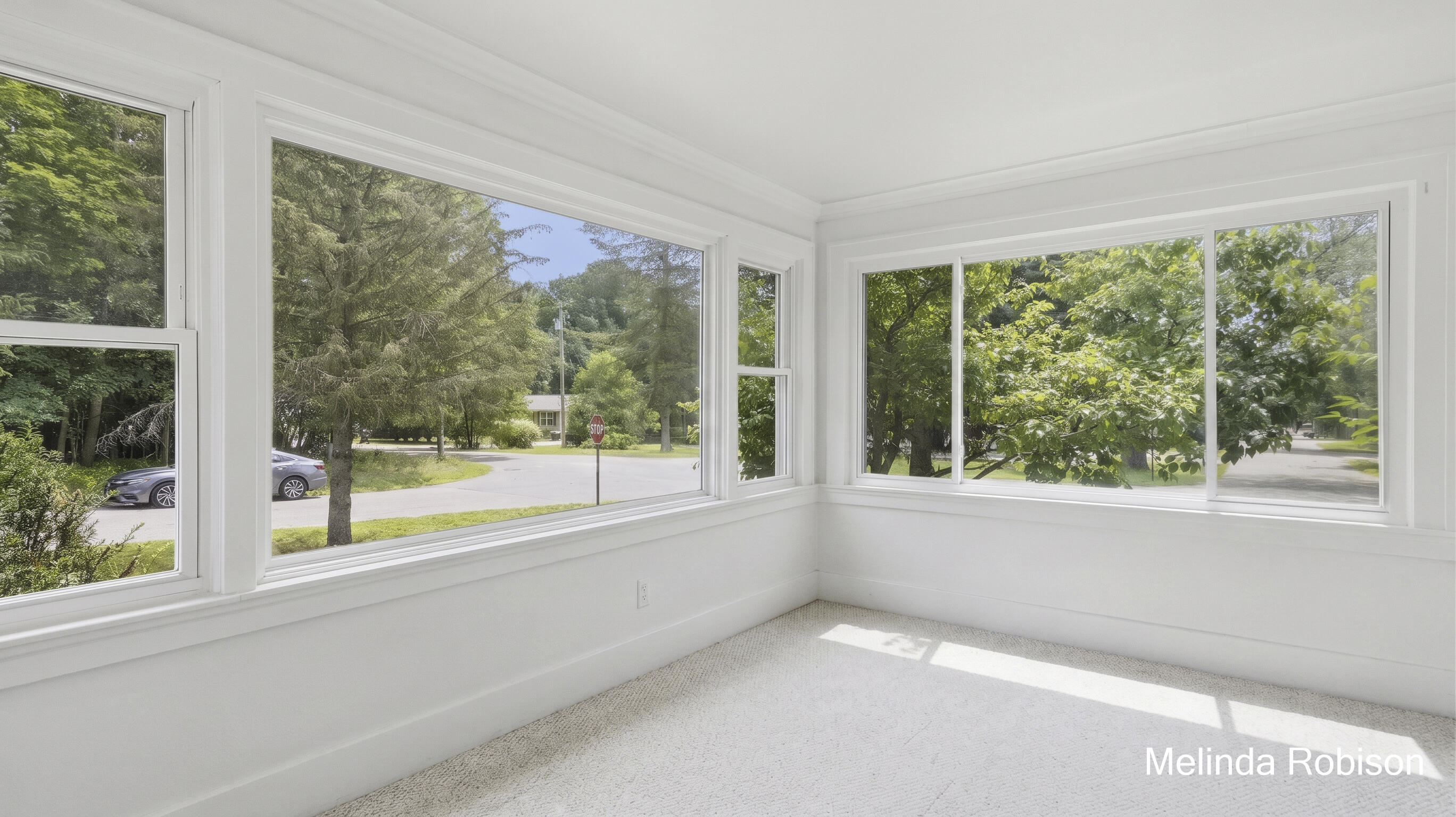 550 Merrick Street Belding, MI 48809 - Photo 12 of 31 edited-1784673756293