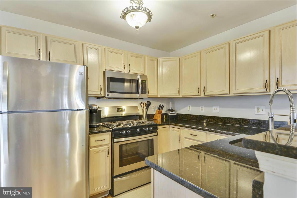 103 Timberbrook Lane, Unit 101 Gaithersburg, MD 20878 - Photo 3 of 27 Kitchen