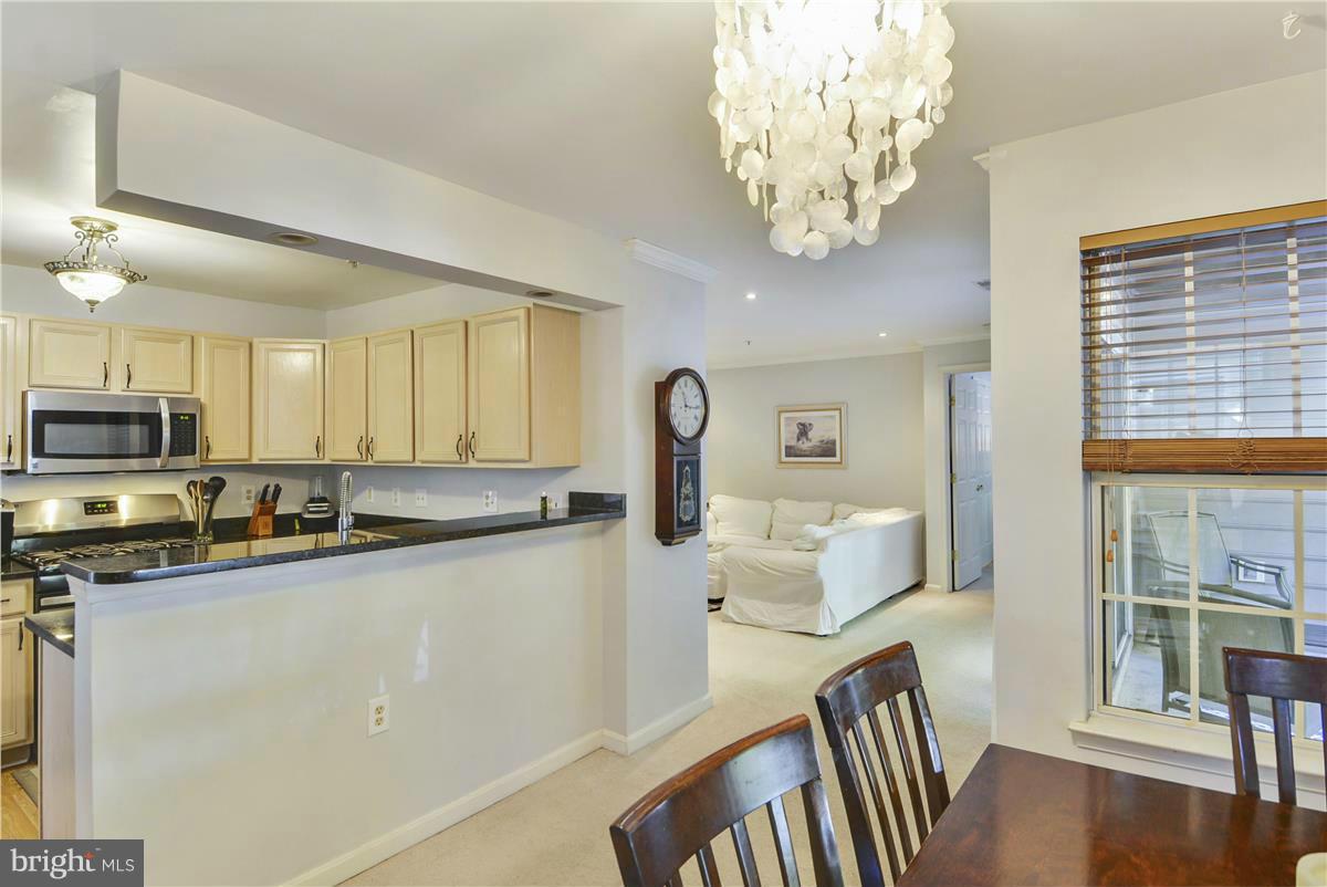 103 Timberbrook Lane, Unit 101 Gaithersburg, MD 20878 - Photo 6 of 27 Interior (General)