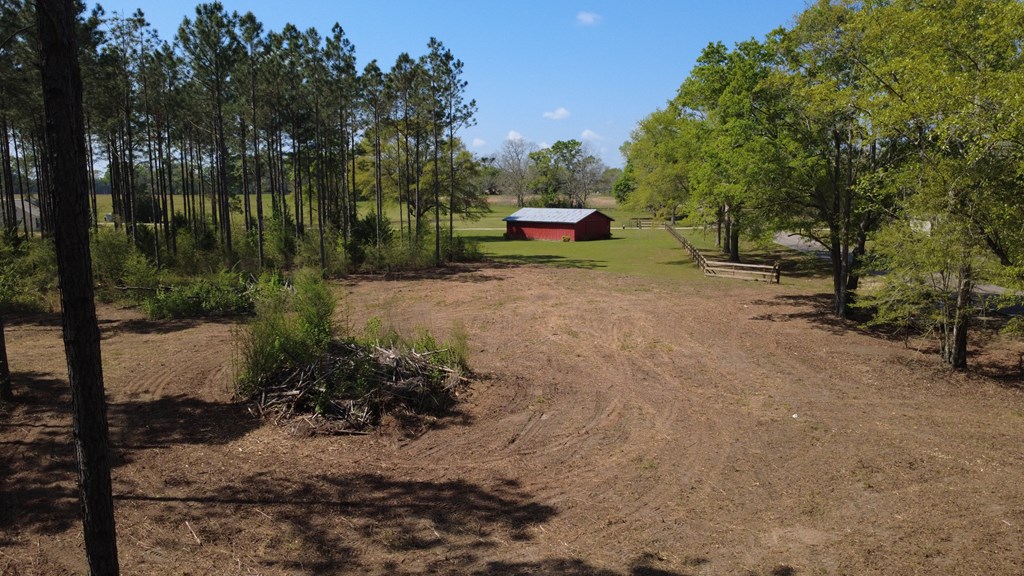 Lot 2 South County Road Slocomb, AL 36375 - Photo 8 of 19