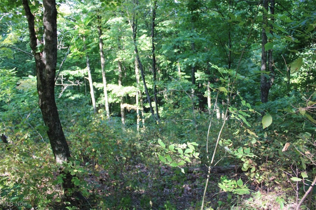 Leffler Road Roseville, OH 43777 - Photo 45 of 49 View of nature