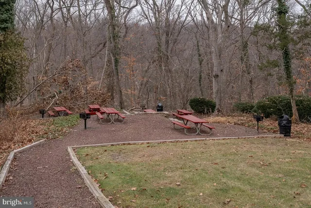 a backyard of a house with yard and trees