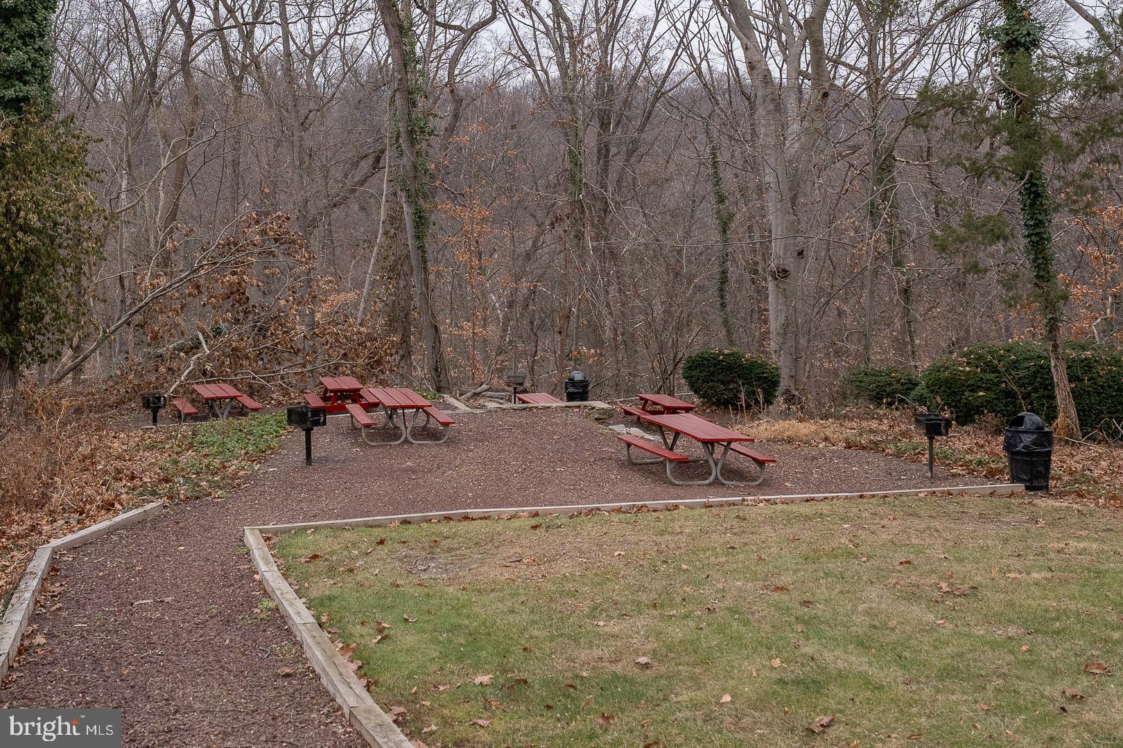 4000 Gypsy Lane, Unit 316A Philadelphia, PA 19129 - Photo 23 of 30 a backyard of a house with yard and trees