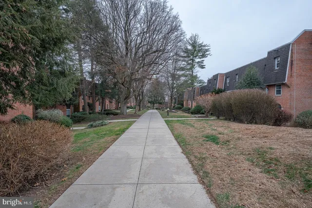 a park view with large trees