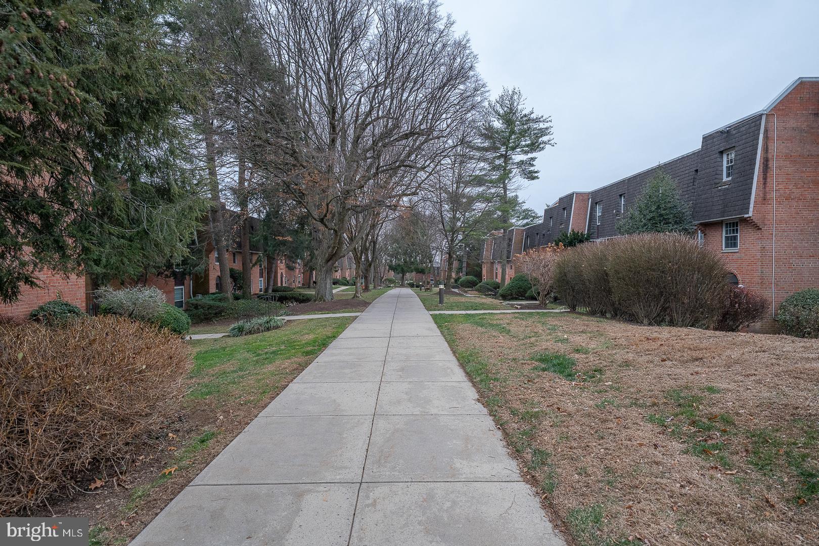 4000 Gypsy Lane, Unit 316A Philadelphia, PA 19129 - Photo 24 of 30 a park view with large trees