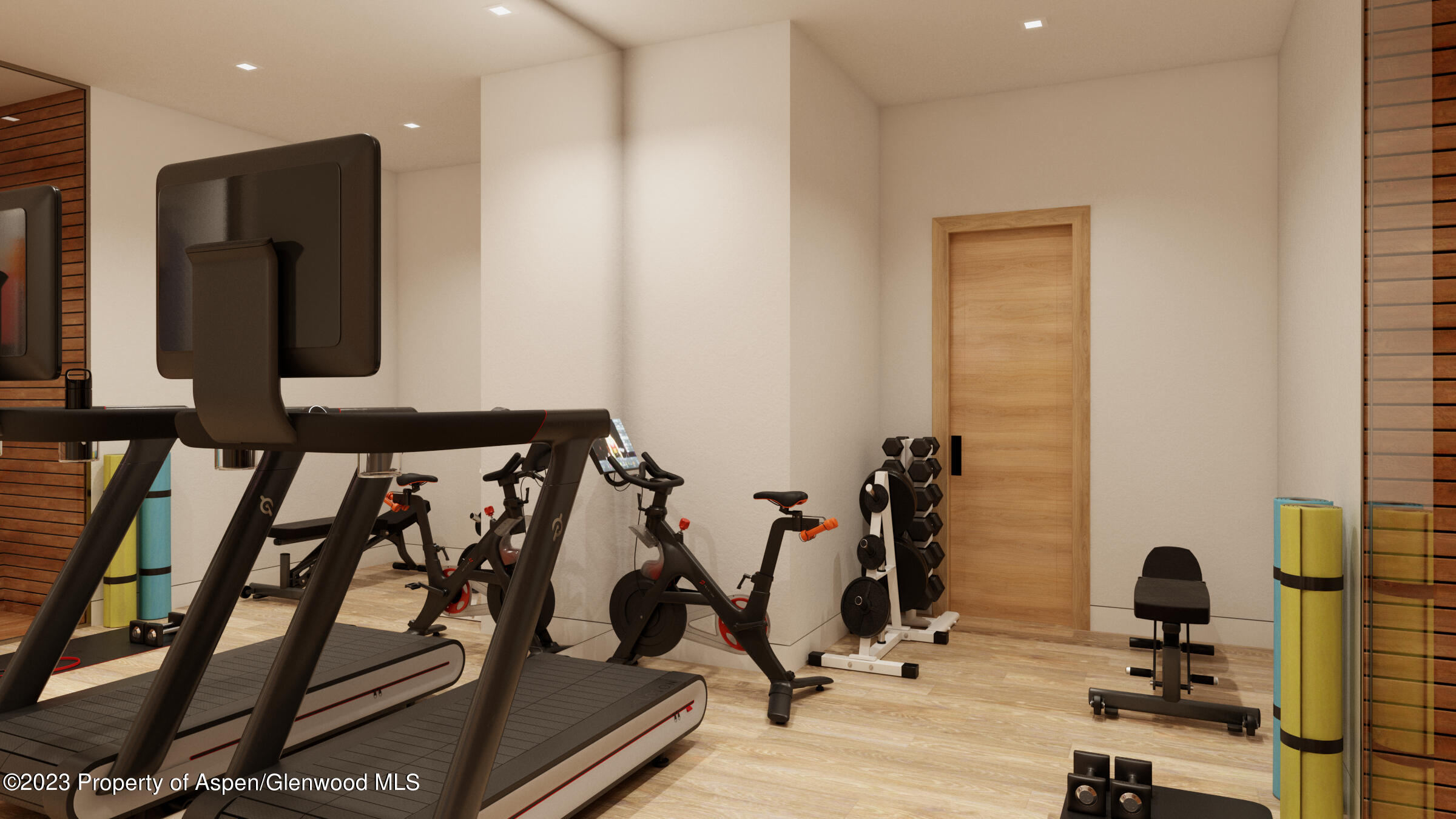 767 Cemetery Lane Aspen, CO 81611 - Photo 21 of 23 a view of gym equipment with wooden floor