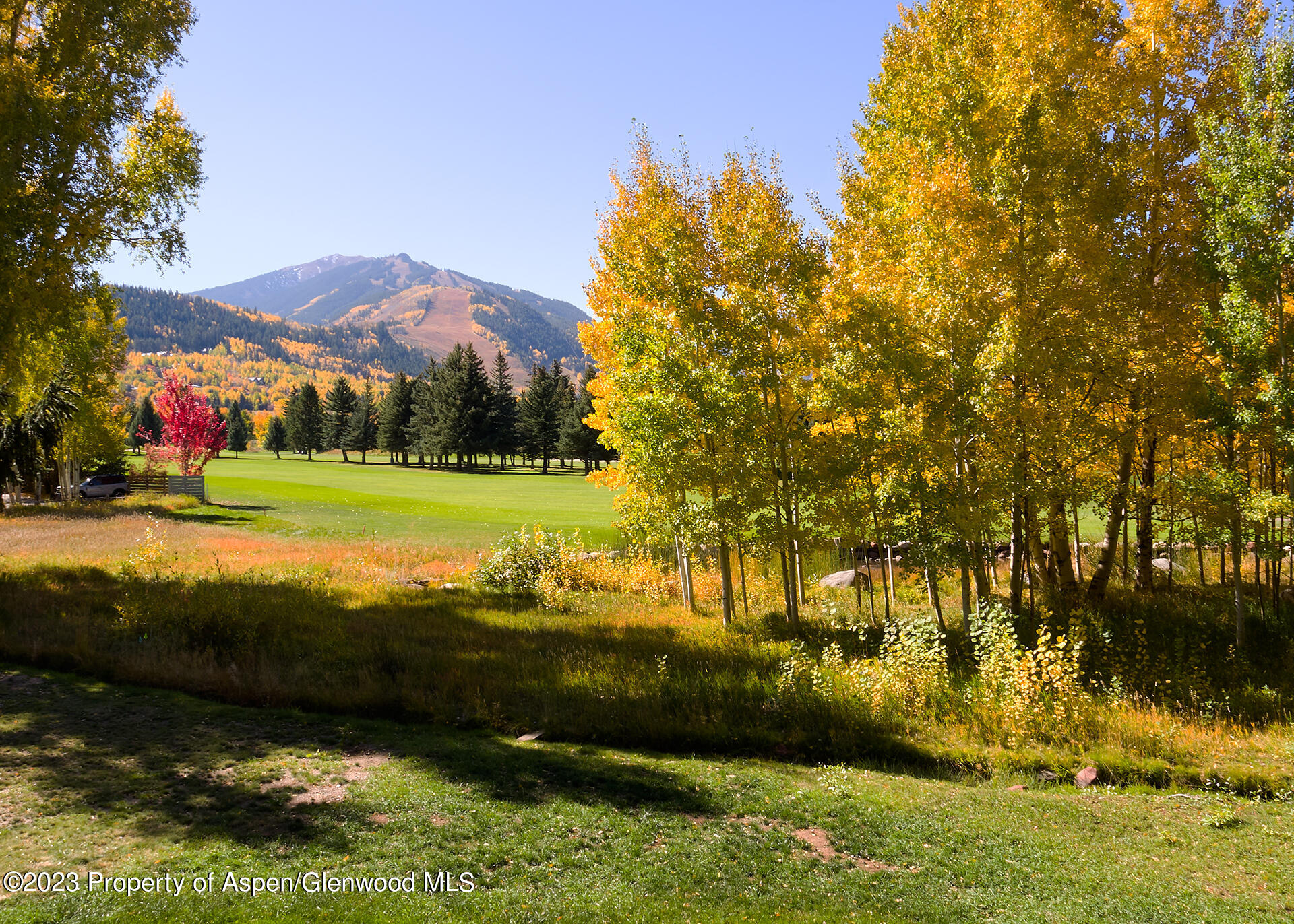 767 Cemetery Lane Aspen, CO 81611 - Photo 4 of 23 a view of a field with a tree