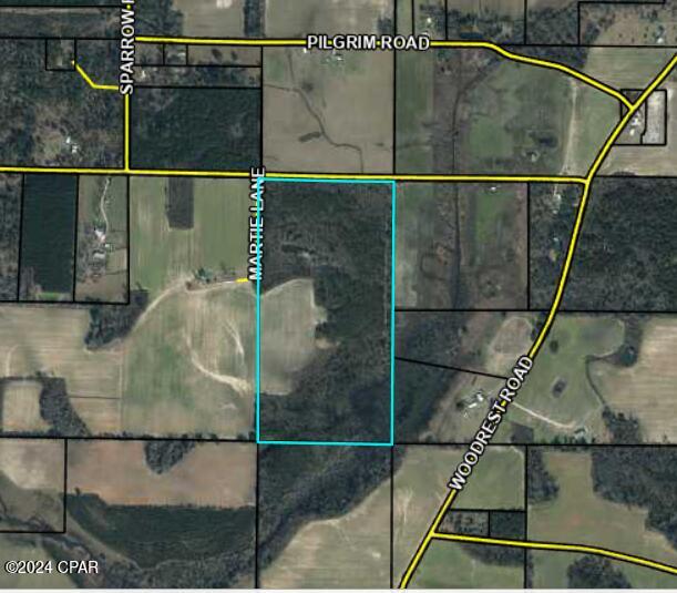 0 Penny Road Cottondale, FL 32431 - Photo 2 of 6