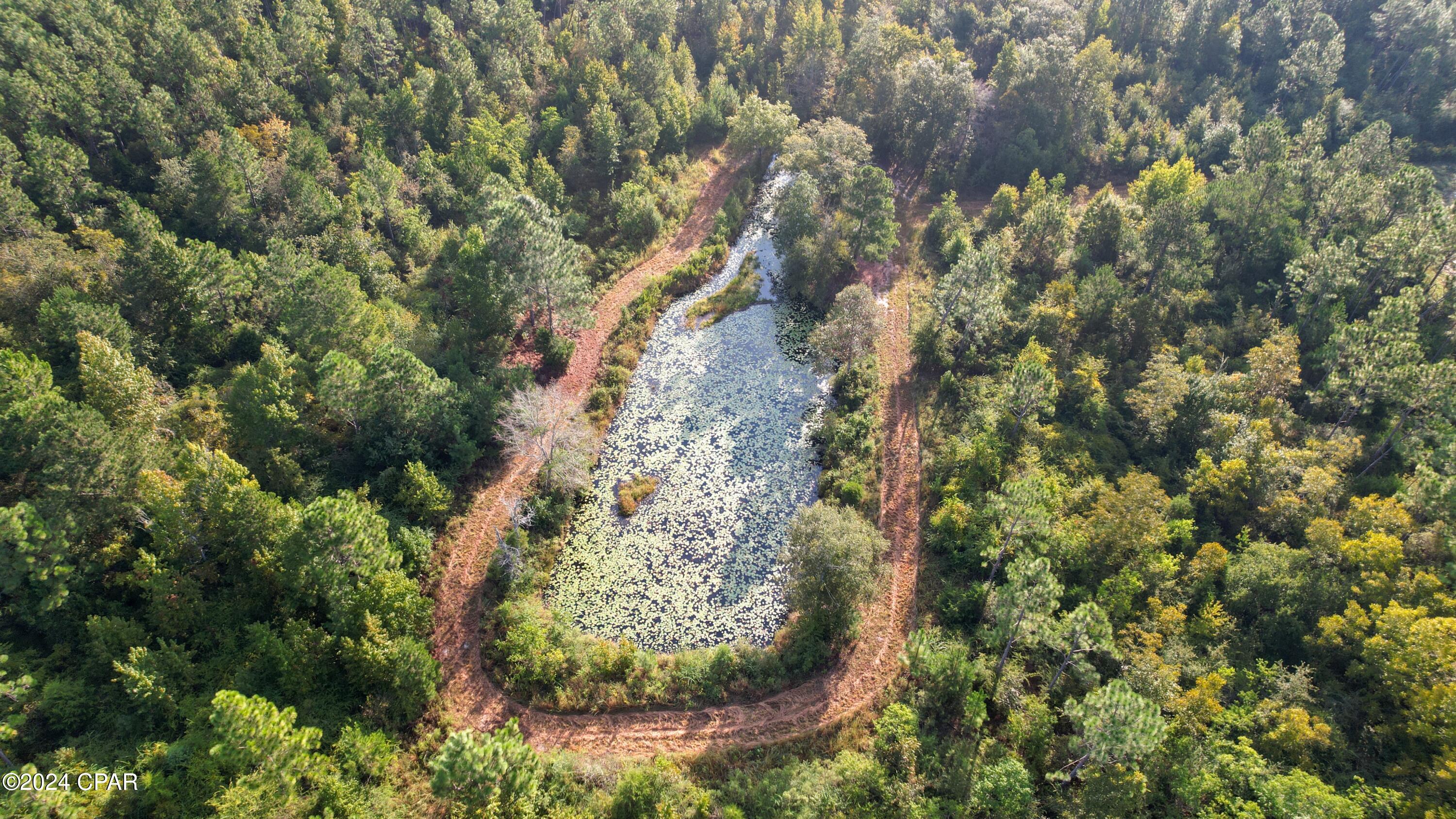 0 Penny Road Cottondale, FL 32431 - Photo 3 of 6