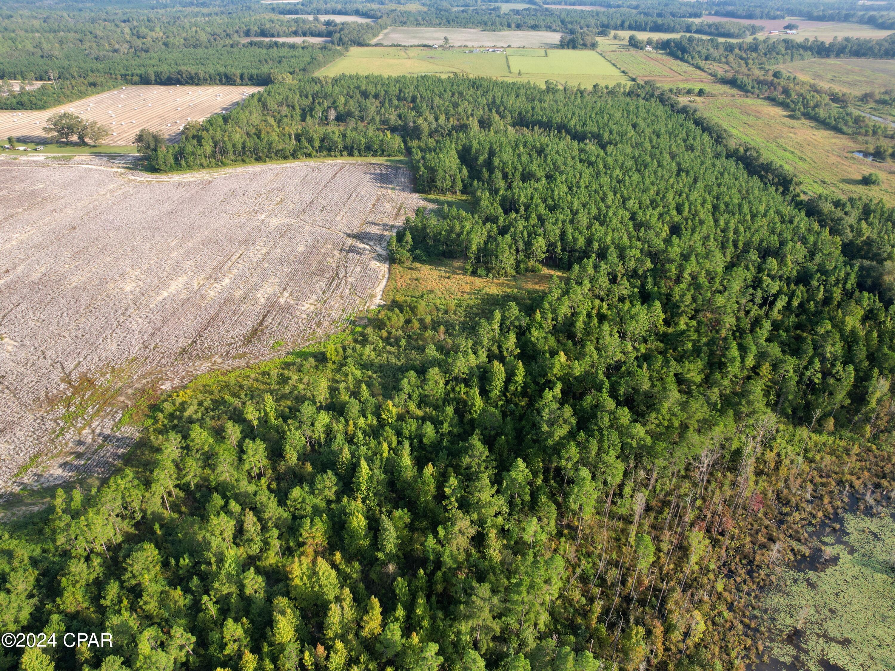 0 Penny Road Cottondale, FL 32431 - Photo 4 of 6