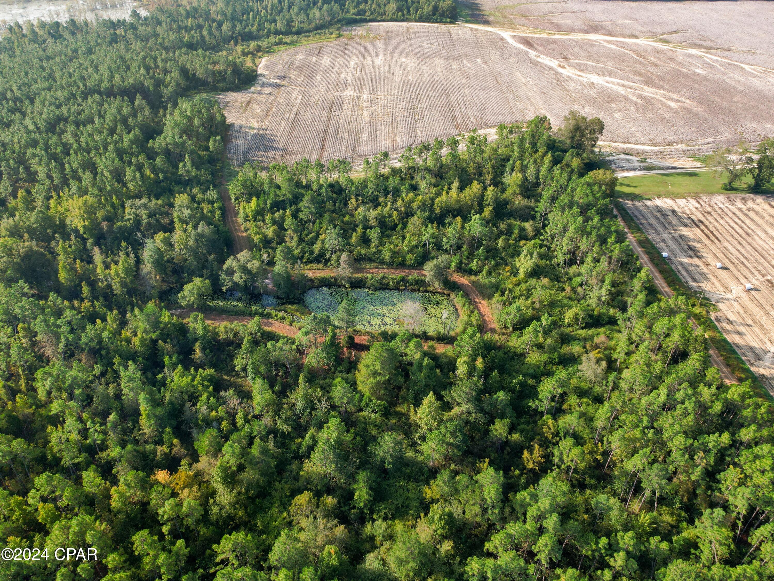 0 Penny Road Cottondale, FL 32431 - Photo 5 of 6