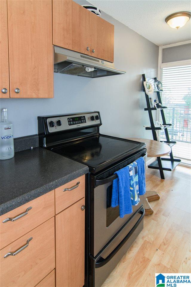 2990 Rhodes Circle South, Unit 217 Birmingham, AL 35205 - Photo 11 of 22