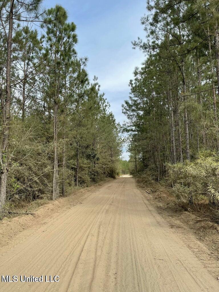 0 Texas Flat Road Picayune, MS 39466 - Photo 2 of 10 20250408153813611193000000-o