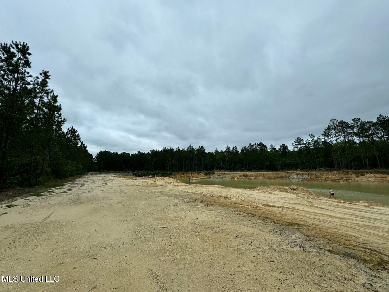 0 Texas Flat Road Picayune, MS 39466 - Photo 4 of 10 20250408153815672052000000-o