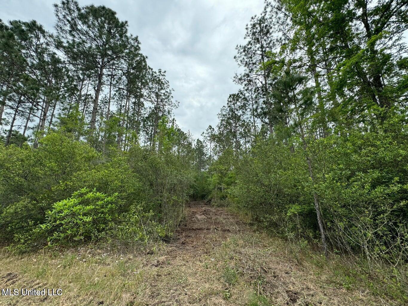 0 Texas Flat Road Picayune, MS 39466 - Photo 7 of 10 20250408153819615063000000-o
