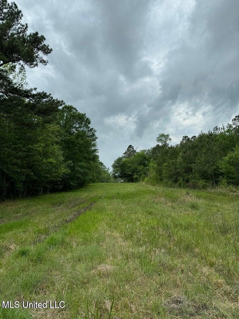 0 Texas Flat Road Picayune, MS 39466 - Photo 8 of 10 20250408153817269414000000-o