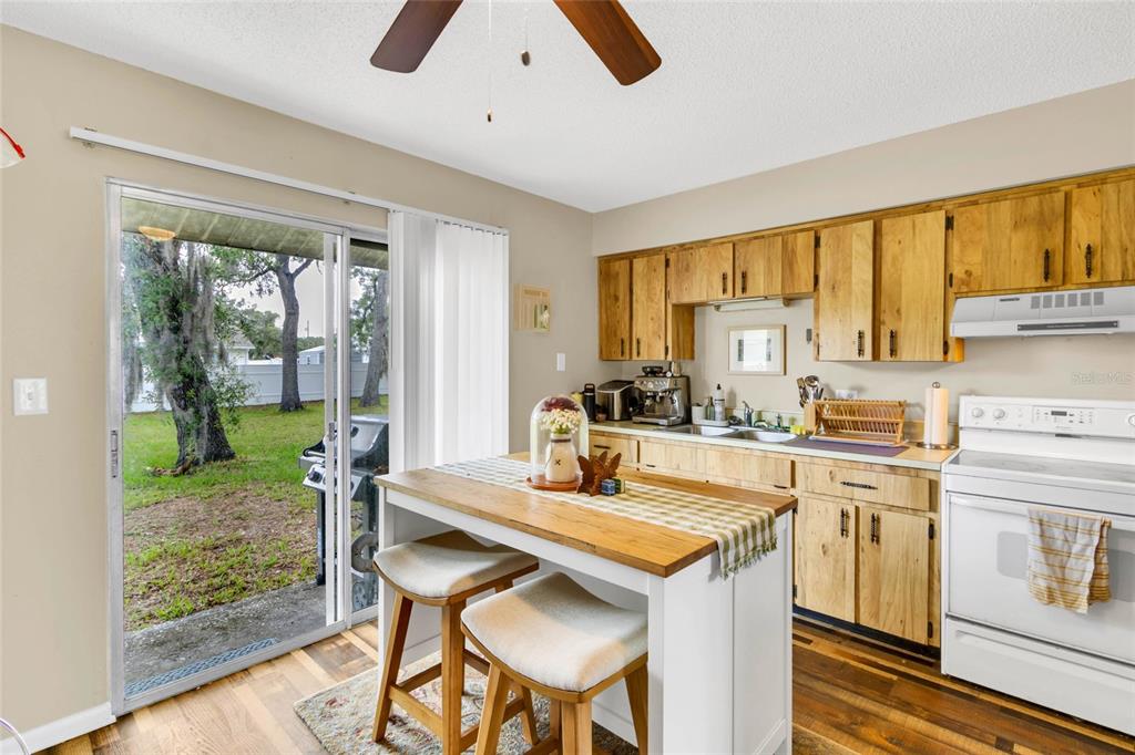 1733 Larkin Road Spring Hill, FL 34608 - Photo 10 of 14