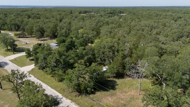 a view of a forest with trees in front of it