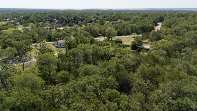 an aerial view of forest