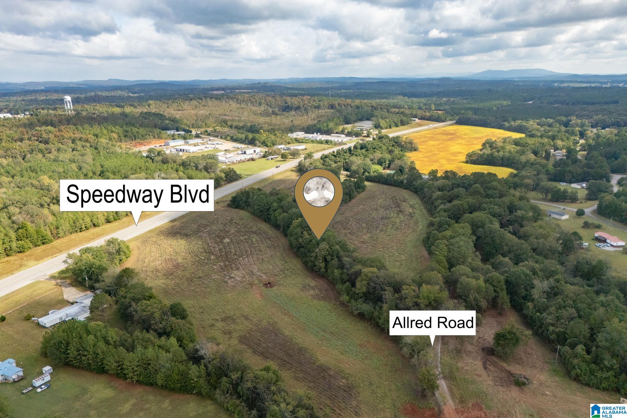 0 Allred Road, Unit PARCEL #5 Lincoln, AL 35096 - Photo 7 of 24
