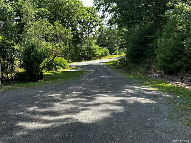 64 Yankee Lake Road Wurtsboro, NY 12790 - Photo 15 of 19