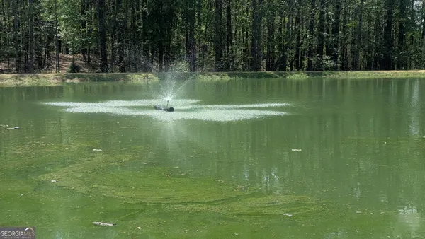 $535,000 | 464 County Road 125, Roanoke, AL 36274