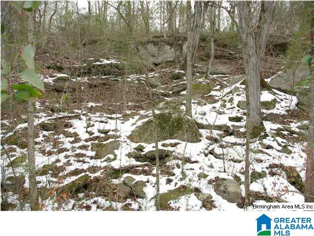 33 County Road, Unit 48 Oneonta, AL 35121 - Photo 17 of 33