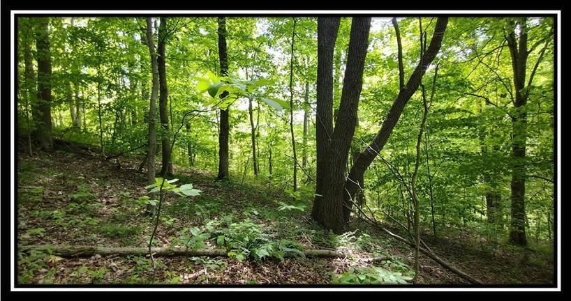 2169 Mohawk Coal Road Wellston, OH 45692 - Photo 51 of 58 image051