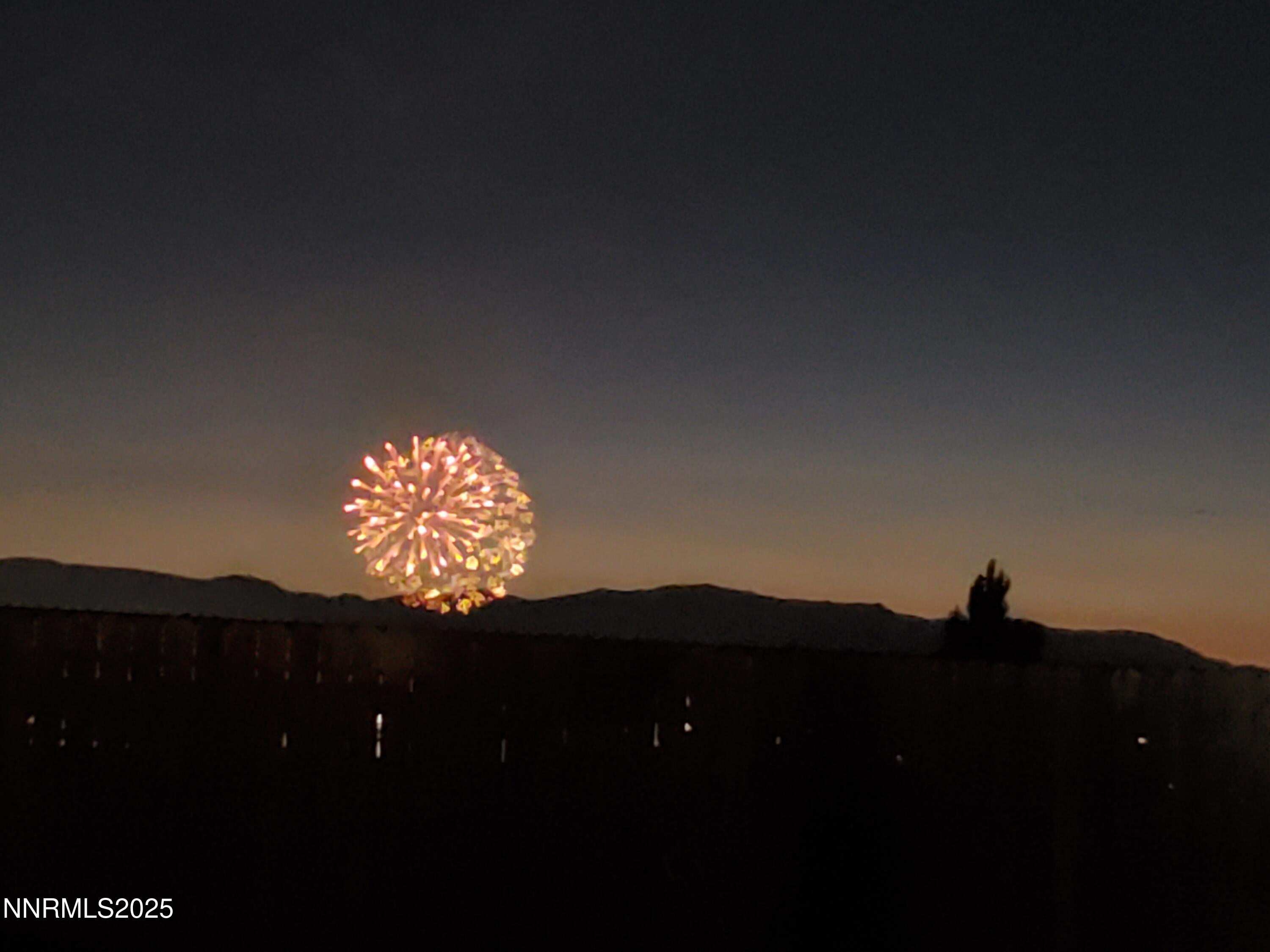 1178 Jasmine Lane Fernley, NV 89408 - Photo 65 of 65 IMG_3894