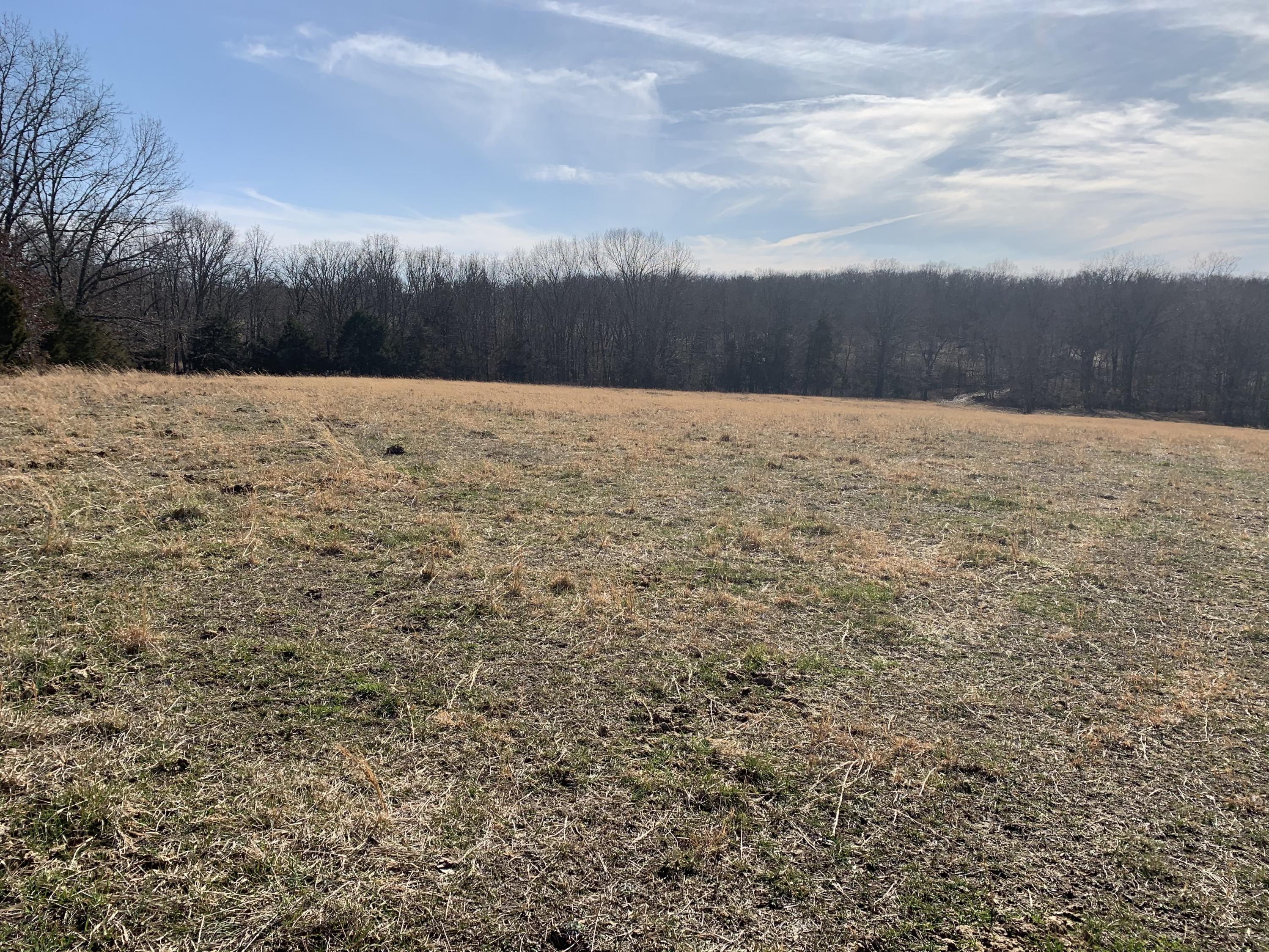 0 Johnson Road Edgar Springs, MO 65462 - Photo 1 of 1 IMG_3050