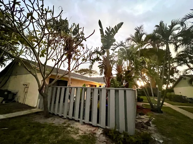 a view of a backyard with wooden fence and a large tree