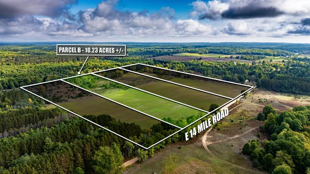 $49,900 | 0 East 14 Mile Road, Unit PARCEL B, Bitely, MI 49309