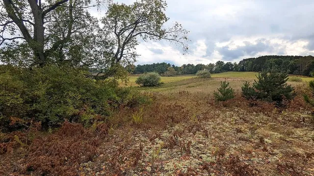 $49,900 | 0 East 14 Mile Road, Unit PARCEL B, Bitely, MI 49309